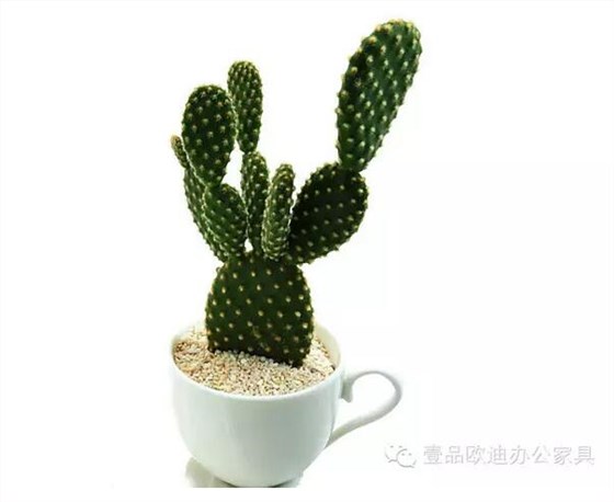 輕松解決辦公室內(nèi)各種污染！