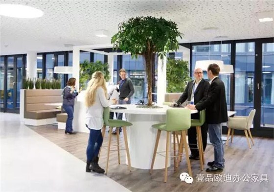 為什么辦公室里一定要養(yǎng)植物？-壹品歐迪辦公家具