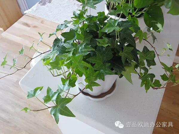 輕松解決辦公室內(nèi)各種污染！