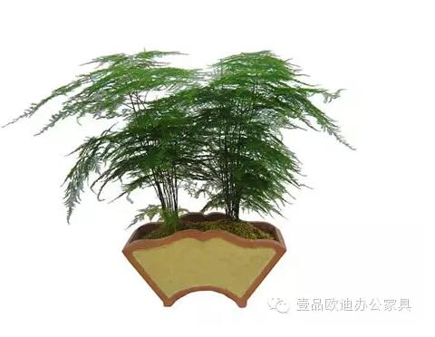 輕松解決辦公室內(nèi)各種污染！