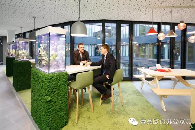 為什么辦公室里一定要養(yǎng)植物？-壹品歐迪辦公家具